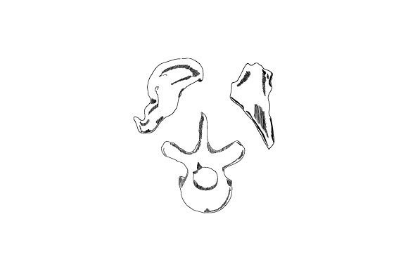A Designer's Review of the Artifacts - Bones, Sketch Embroidery File