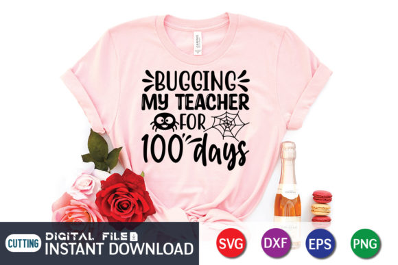 Evaluating Bugging My Teacher for 100 Days for Embroidery