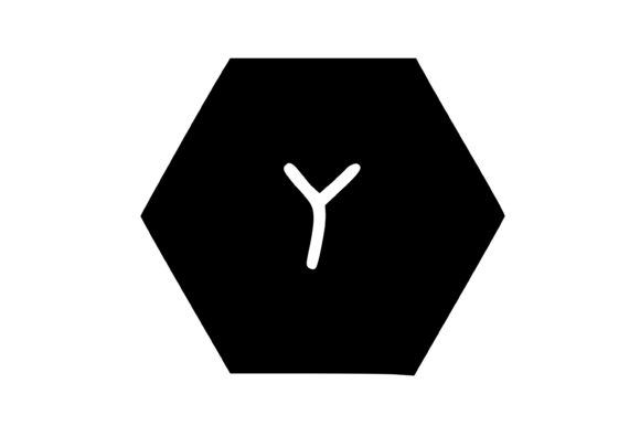 Hexagon Shape with Playful Mono Y: A Designer's Practical Review